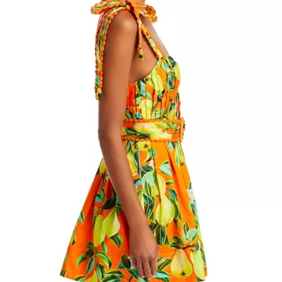 FARM Rio Organic chic pears organic cotton mini dress - Picture 4 of 6